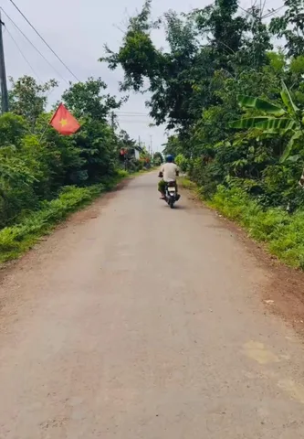 Bất động sản tại Đắk Lắk - ảnh 1