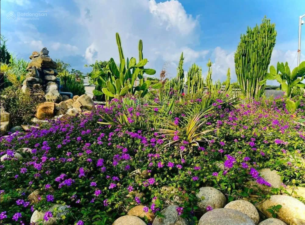 Bất động sản tại Đắk Nông - ảnh 1