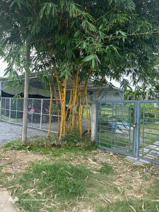 Bất động sản tại Quảng Ngãi - ảnh 1
