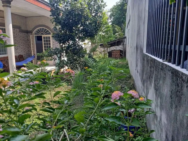 Bất động sản tại Bình Dương - ảnh 1