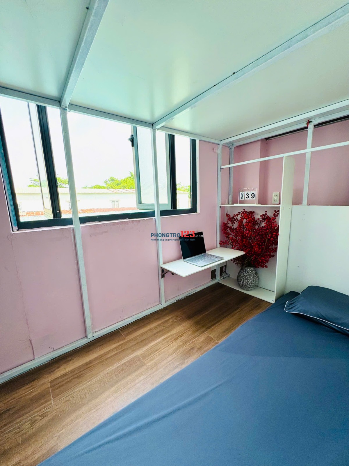 Bất động sản tại TP. Hồ Chí Minh - ảnh 1
