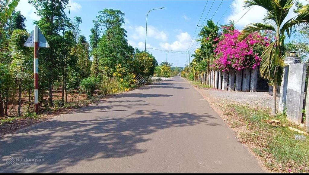 Bất động sản tại Bà Rịa - Vũng Tàu - ảnh 1