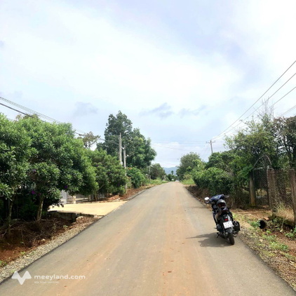 Bất động sản tại Lâm Đồng - ảnh 1