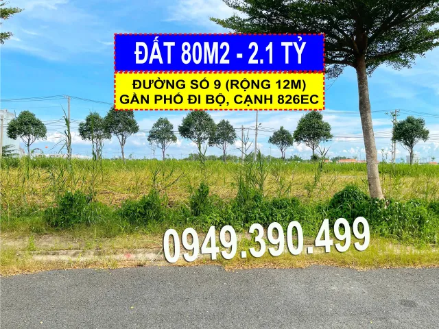 Bất động sản tại Tây Ninh - ảnh 1