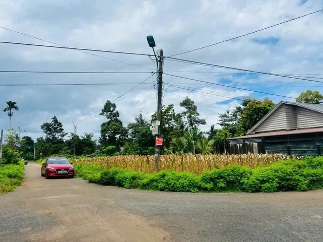 Bất động sản tại Đắk Lắk - ảnh 1