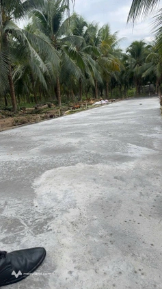Bất động sản tại Bến Tre - ảnh 1