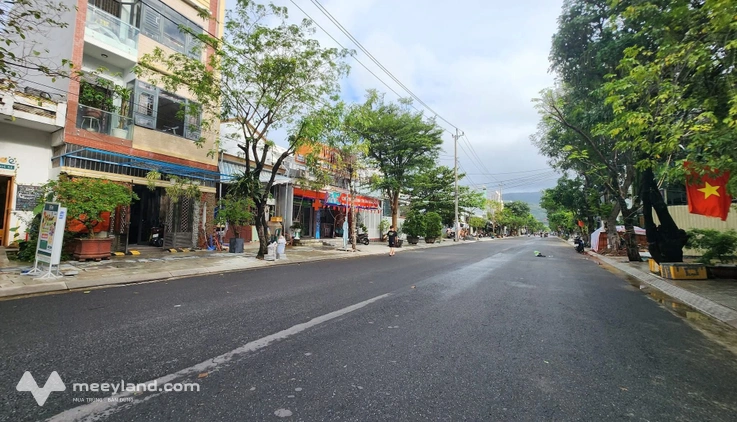 Bất động sản tại Đà Nẵng - ảnh 1