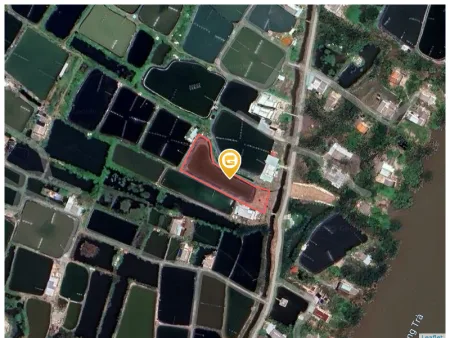 Bất động sản tại Long An - ảnh 1