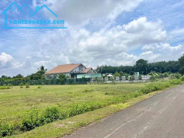 Bất động sản tại Bình Phước - ảnh 1