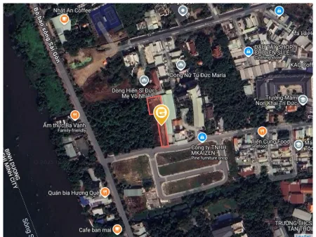 Bất động sản tại Bình Dương - ảnh 1