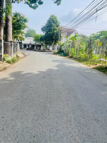 Bất động sản tại Bình Dương - ảnh 1