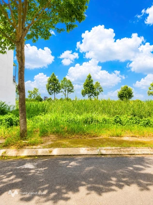 Bất động sản tại Long An - ảnh 1