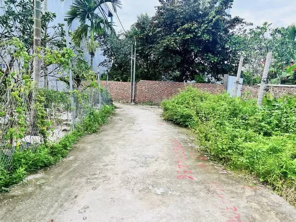 Bất động sản tại Hải Phòng - ảnh 1