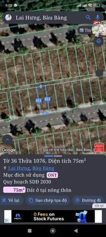 Bất động sản tại Bình Dương - ảnh 1