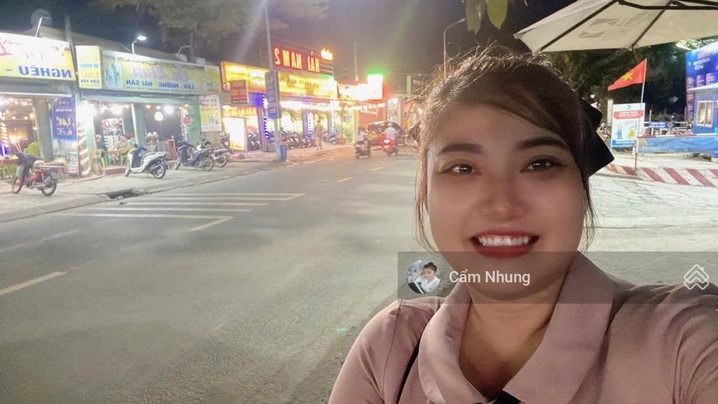 Bất động sản tại Bình Dương - ảnh 1