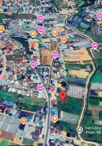 Bất động sản tại Lâm Đồng - ảnh 1