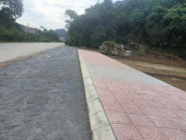 Bất động sản tại Phú Thọ - ảnh 1