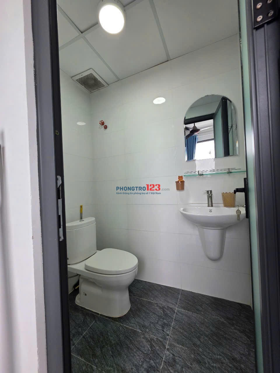 Bất động sản tại TP. Hồ Chí Minh - ảnh 1