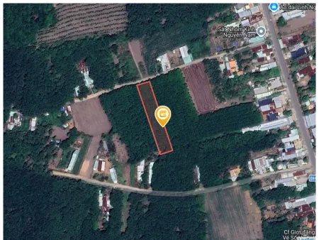 Bất động sản tại Bình Dương - ảnh 1