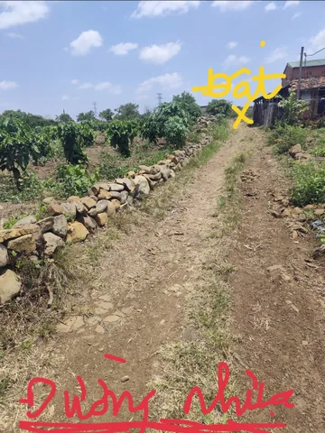 Bất động sản tại Đắk Lắk - ảnh 1