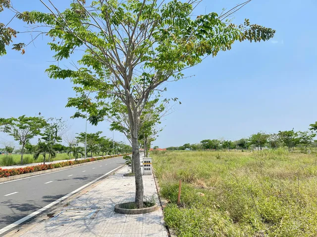 Bất động sản tại Long An - ảnh 1