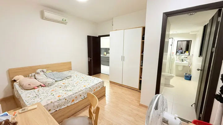 Bất động sản tại TP. Hồ Chí Minh - ảnh 1