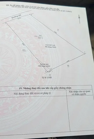Bất động sản tại Bình Dương - ảnh 1