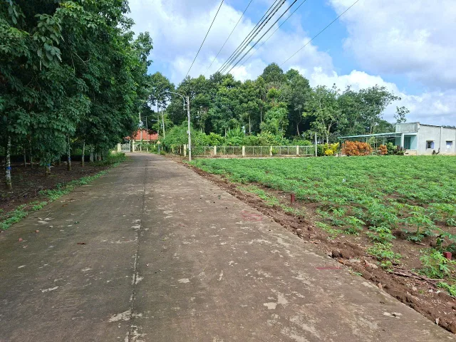 Bất động sản tại Bình Dương - ảnh 1