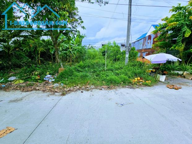 Bất động sản tại Hậu Giang - ảnh 1