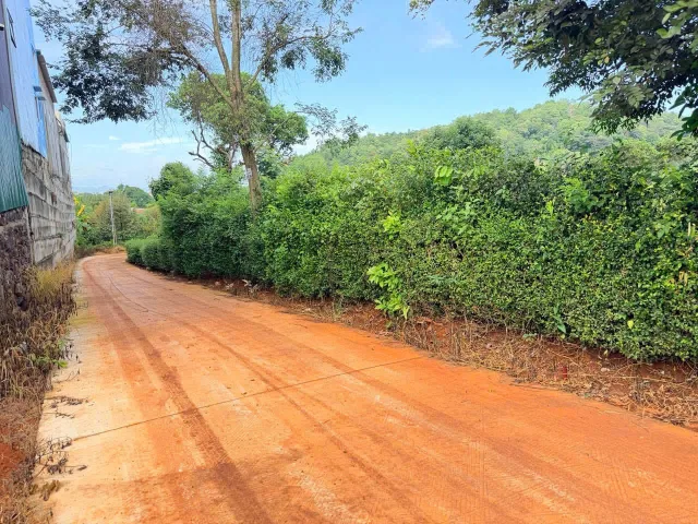 Bất động sản tại Đắk Lắk - ảnh 1