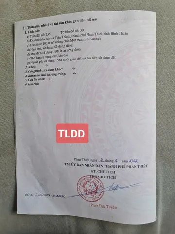 Bất động sản tại Lâm Đồng - ảnh 1