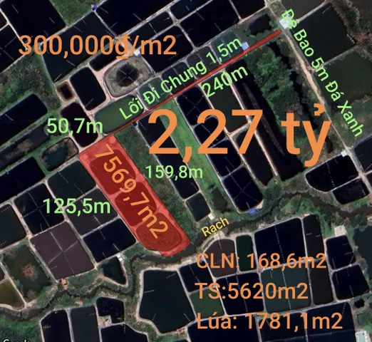 Bất động sản tại Tây Ninh - ảnh 1