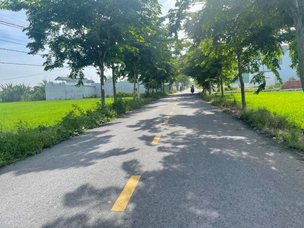 Bất động sản tại Long An - ảnh 1