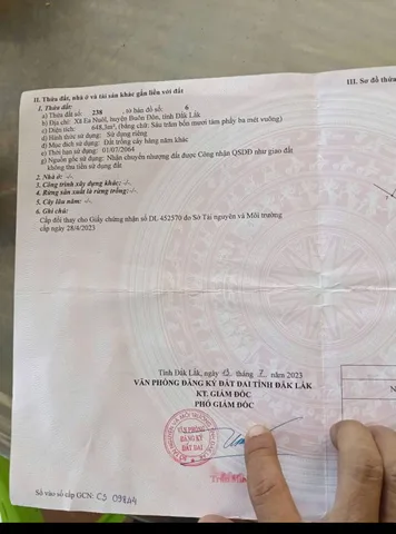 Bất động sản tại Đắk Lắk - ảnh 1