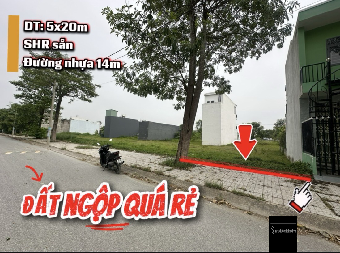Bất động sản tại Tây Ninh - ảnh 1