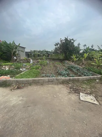 Bất động sản tại Hải Phòng - ảnh 1