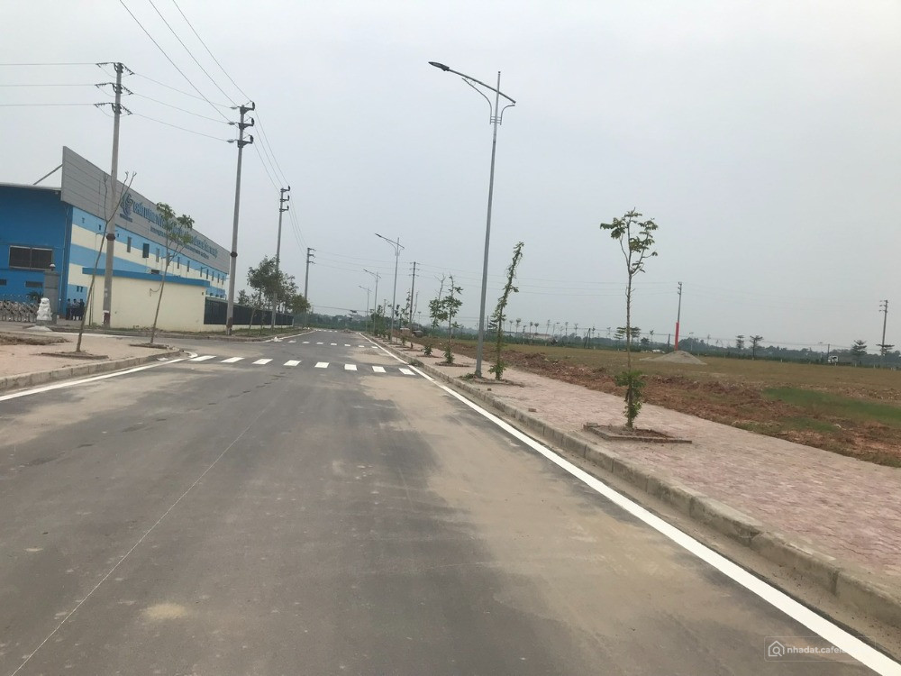 Bất động sản tại Hải Phòng - ảnh 1