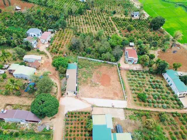 Bất động sản tại Đắk Lắk - ảnh 1