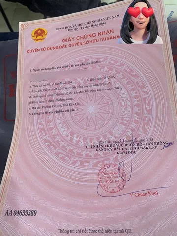 Bất động sản tại Đắk Lắk - ảnh 1