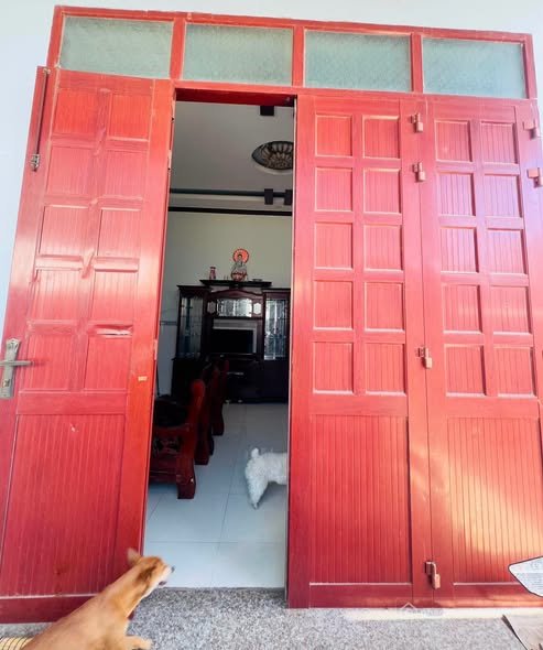 Bất động sản tại Gia Lai - ảnh 1