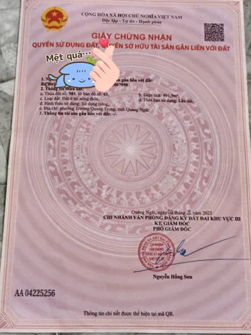 Bất động sản tại Quảng Ngãi - ảnh 1