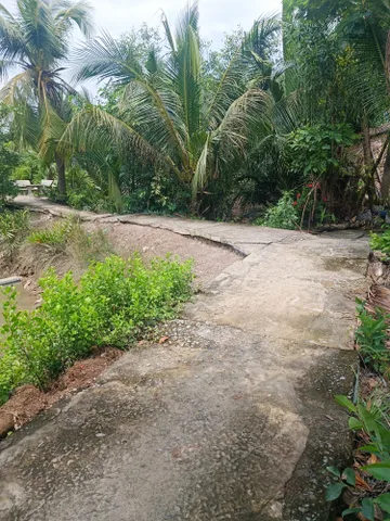 Bất động sản tại Tây Ninh - ảnh 1