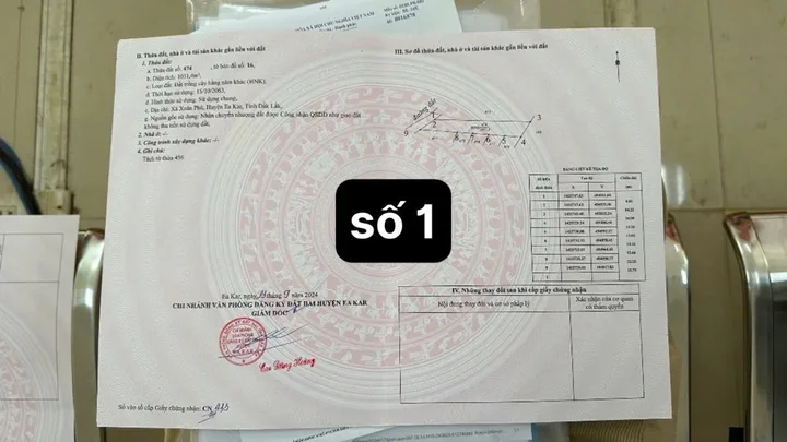 Bất động sản tại Đắk Lắk - ảnh 1