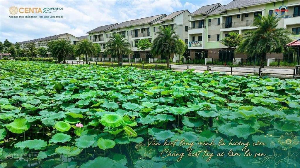 Bất động sản tại Bắc Ninh - ảnh 1
