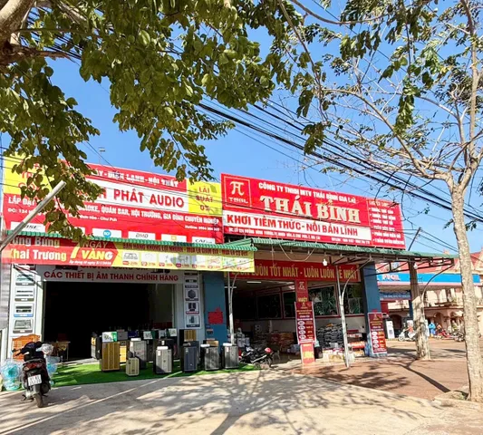 Bất động sản tại Gia Lai - ảnh 1