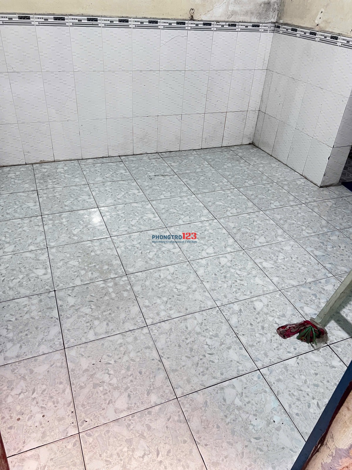 Bất động sản tại TP. Hồ Chí Minh - ảnh 1