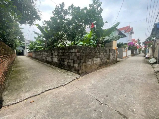 Bất động sản tại Hưng Yên - ảnh 1