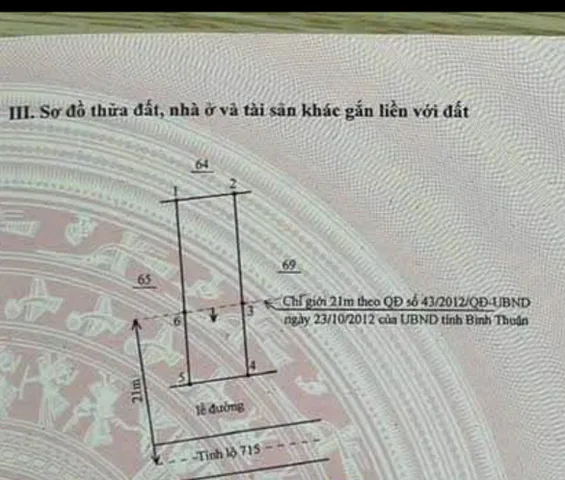 Bất động sản tại Lâm Đồng - ảnh 1