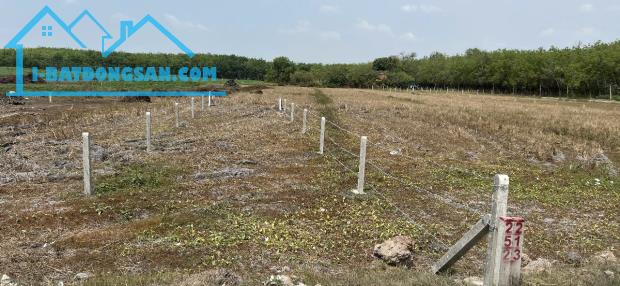 Bất động sản tại Tây Ninh - ảnh 1