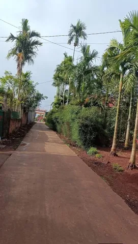 Bất động sản tại Đắk Lắk - ảnh 1